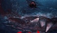 ca-map-mau-horror-shark