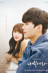 navillera-nhu-canh-buom-navillera