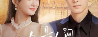 Em Là Người Lý Tưởng HD Vietsub Thuyết Minh