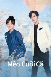 meo-cuoi-ca-vietsub-thuyet-minh