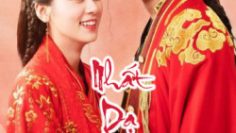 nhat-da-tan-nuong-vietsub-thuyet-minh