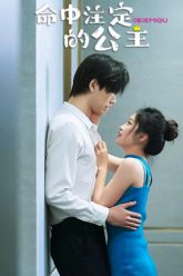 cong-chua-cua-dinh-menh-vietsub-thuyet-minh