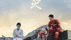 khoi-lua-nhan-gian-cua-toi-vietsub-thuyet-minh