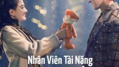 nhan-vien-tai-nang-dong-dong-an-vietsub-thuyet-minh