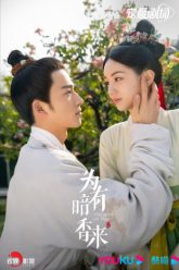 vi-huu-am-huong-lai-tay-duyen-hoa-vietsub-thuyet-minh