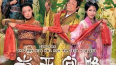 dong-cung-tay-luoc-vietsub-thuyet-minh
