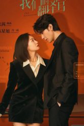 nguoi-phien-dich-cua-chung-toi-vietsub-thuyet-minh