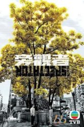 the-spectator-vietsub-thuyet-minh