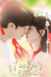 chuong-reo-vietsub-thuyet-minh