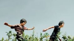 monster-2023-vietsub-thuyet-minh