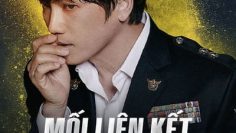 Mối Liên Kết Bí Ẩn Connection 2024