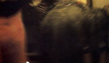 oasis-vietsub-thuyet-minh