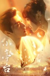 tieu-dinh-dai-vietsub-thuyet-minh