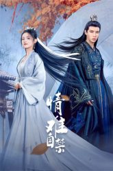 tinh-nan-tu-cam-vietsub-thuyet-minh