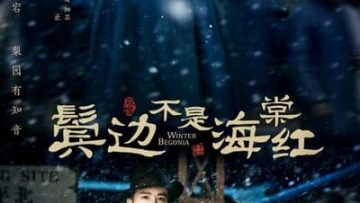 Bên Tóc Mai Không Phải Hải Đường Hồng -Winter Begonia 2020