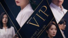 vip-vietsub-thuyet-minh