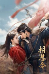 tuong-tu-lenh-vietsub-thuyet-minh