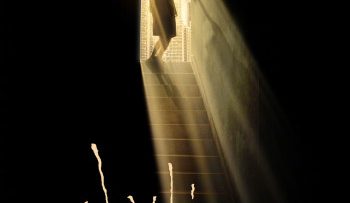 toi-nho-nho-vietsub-thuyet-minh