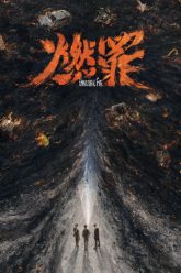 dot-chay-toi-ac-vietsub-thuyet-minh