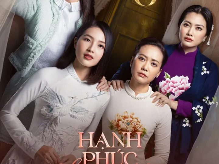 hanh-phuc-bi-danh-cap-vietsub-thuyet-minh