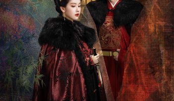 khi-chim-nhan-tro-ve-vietsub-thuyet-minh