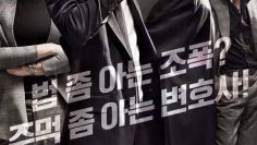 Luật Sư Vô Pháp | Lawless Lawyer 2018