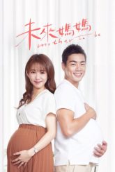 hanh-trang-lam-me-vietsub-thuyet-minh