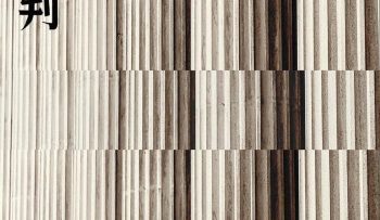 phan-quyet-sai-lam-vietsub-thuyet-minh