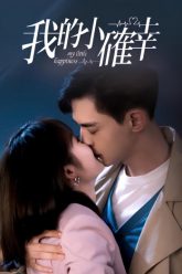 hanh-phuc-nho-cua-anh-vietsub-thuyet-minh